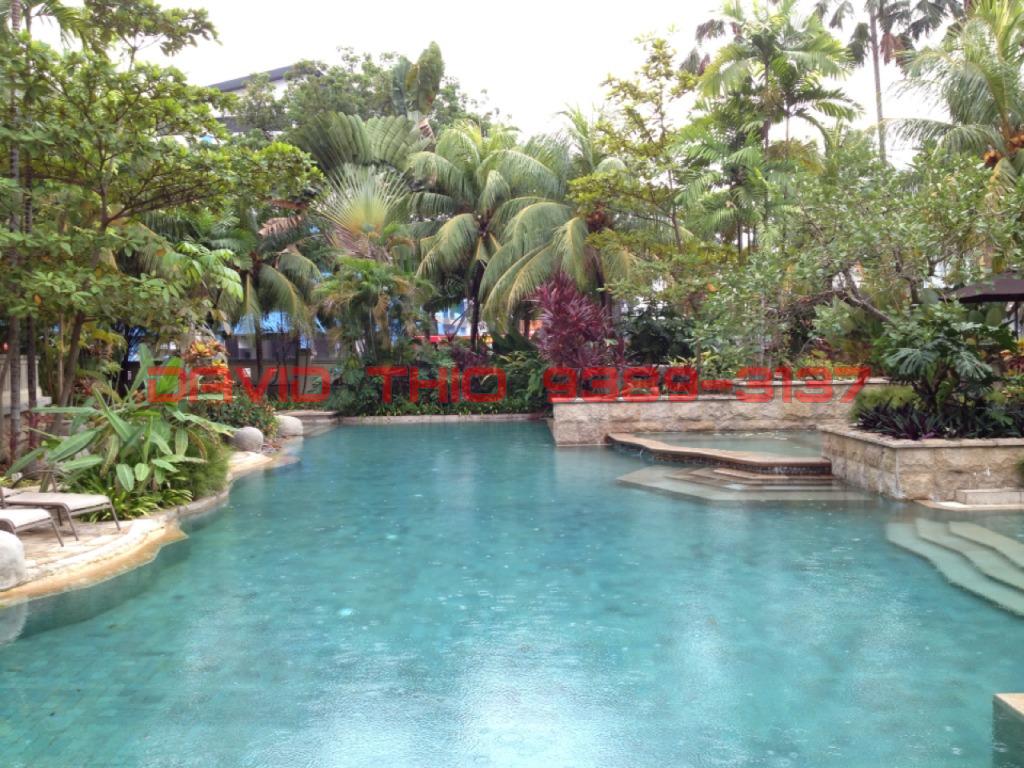 D'Ecosia (D15), Condominium #97542742